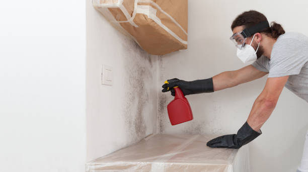 Professional Bathroom Mold Removal technician working in Hoffman Estates, IL
