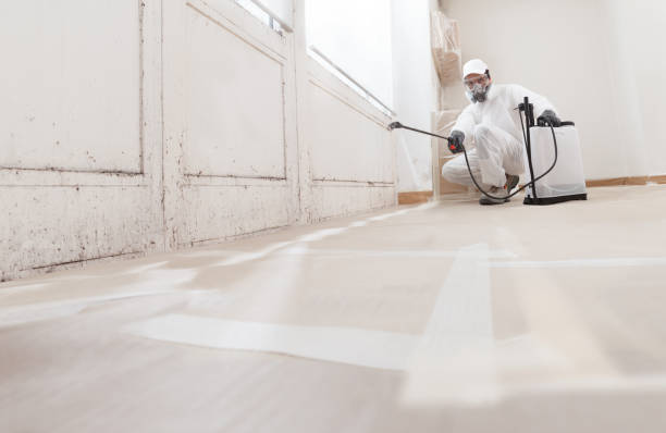 24/7 Emergency Bathroom Mold Removal experts in Hoffman Estates, IL