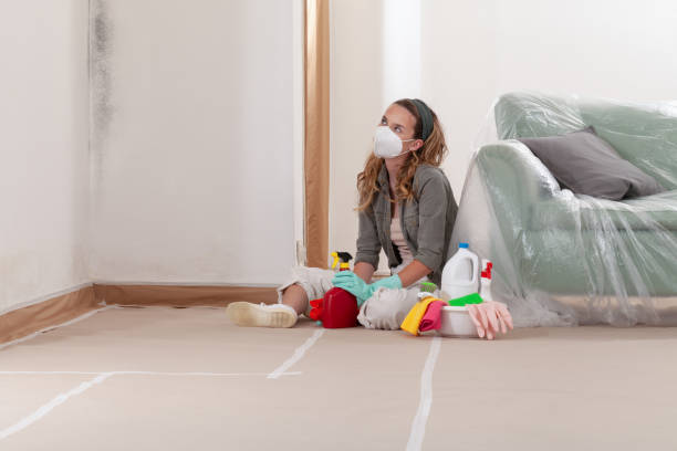 Reliable Bathroom Mold Removal contractor in Hoffman Estates, IL by WQB Mold Removal